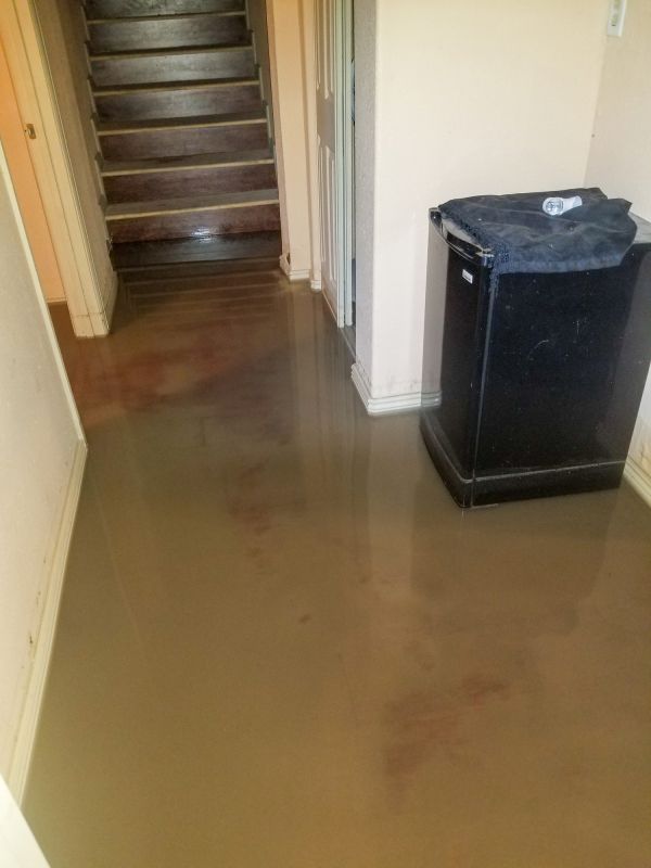 Basement Water Cleanup