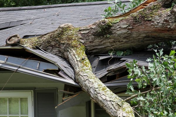 Cost of Storm Remediation in Columbus