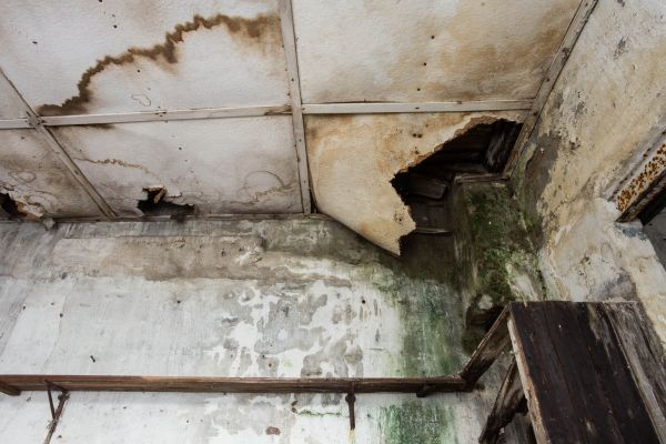 Cost of Water Damage Service in Columbus