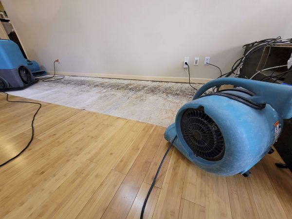 Cost of Water Damage Mitigation in Columbus