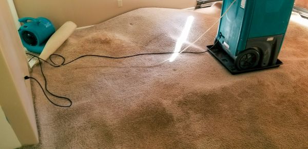 Cost of Flood Damage Cleanup in Columbus