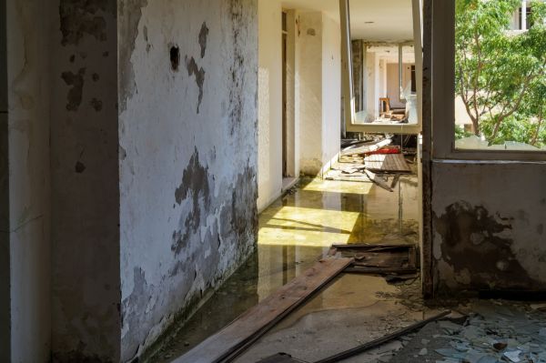 Cost of Water Removal Service in Columbus