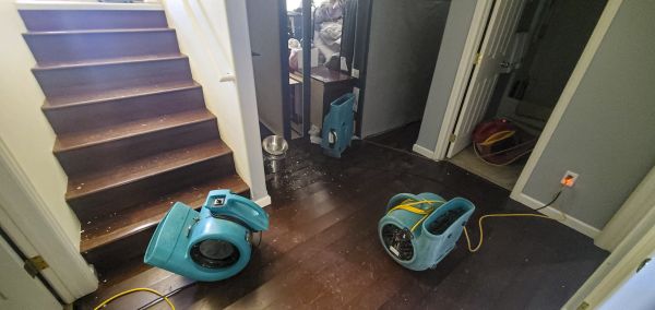 Cost of Water Damage Remediation in Columbus