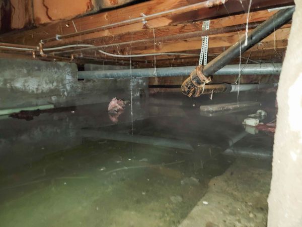 Cost of Water Mitigation Service in Columbus