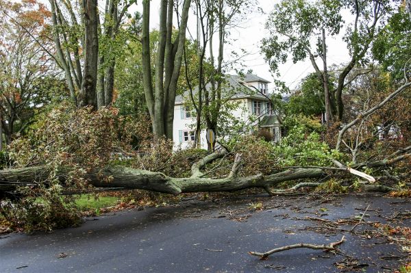 Cost of Tornado Damage Repair in Columbus