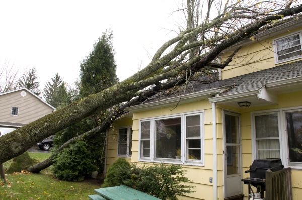 Cost of Hurricane Damage Repair in Columbus
