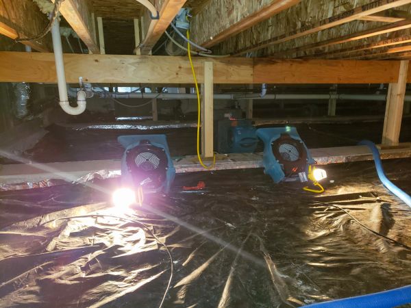 Cost of Crawlspace Water Removal in Columbus